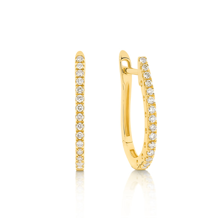 Hoop Earrings