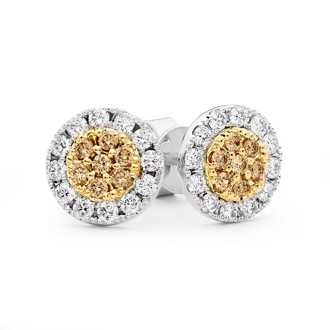 Two Tone Champagne Diamond Earrings in 18ct Gold