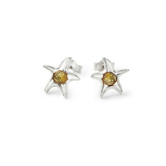 Amber Starfish Studs in Sterling Silver